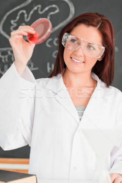 Porttrait of a young woman looking at a petri dish in a classroom Stock photo © wavebreak_media
