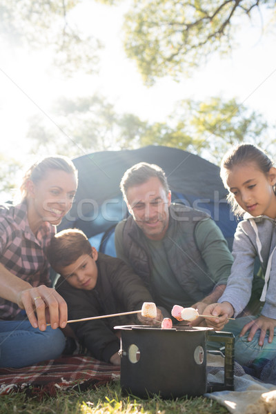 Rodziny na zewnątrz namiot drzewo żywności Zdjęcia stock © wavebreak_media