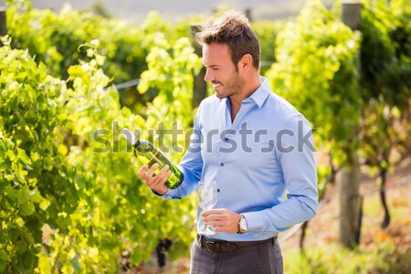 Happy vintner harvesting grapes in vineyard Stock photo © wavebreak_media
