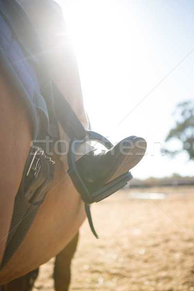 Close-up of child sitting on the horse back Stock photo © wavebreak_media