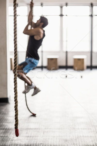 Jovem musculação escalada cordas crossfit ginásio Foto stock © wavebreak_media