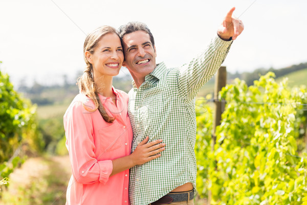 Foto stock: Pareja · pie · vina · senalando · naturaleza