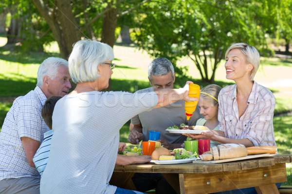 Foto stock: Familia · feliz · picnic · parque · primavera · hombre