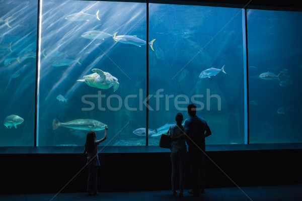 Stockfoto: Gelukkig · gezin · naar · vis · tank · aquarium · liefde