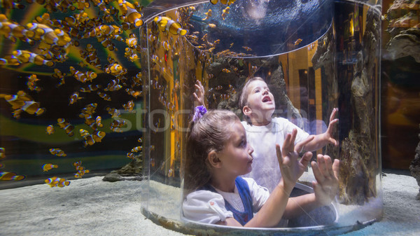 Foto stock: Pequeño · hermanos · mirando · peces · tanque · acuario