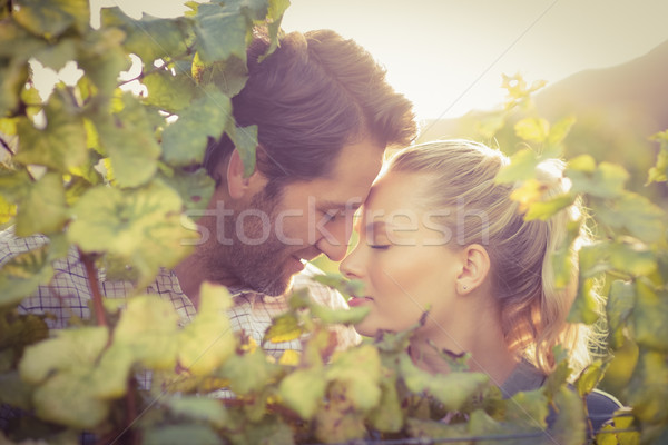 Foto stock: Jovem · feliz · casal · romântico · momento · atrás