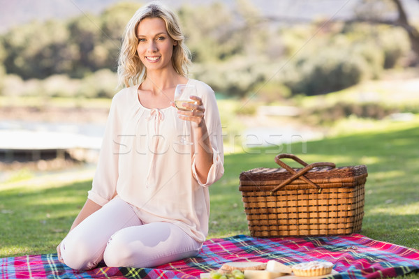 Uśmiechnięty posiedzenia koc piknikowy portret pitnej Zdjęcia stock © wavebreak_media