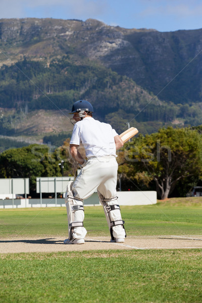 Rear view of batsman playing cricket at field Stock photo © wavebreak_media