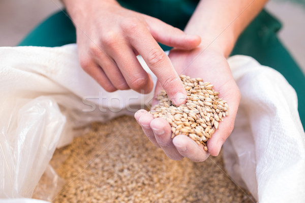 Cropped hand of worker examining barley at factory Stock photo © wavebreak_media