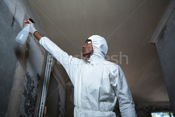 Man doing pest control on a wall Stock photo © wavebreak_media