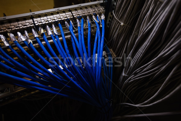 Rack serveur chambre réseau bleu [[stock_photo]] © wavebreak_media