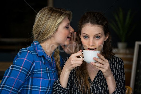 Nő suttog titok női barát fül Stock fotó © wavebreak_media