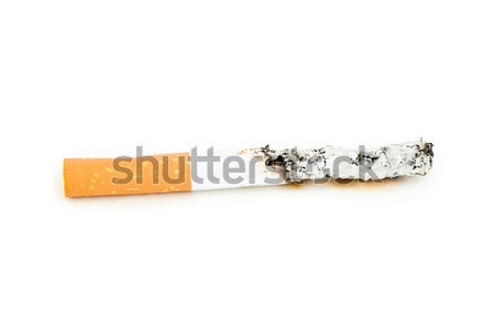 Close up of a cigarette extinguished against a white background Stock photo © wavebreak_media