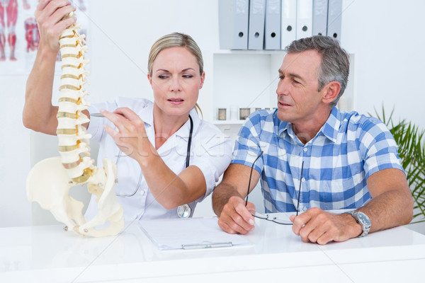 Stock photo: Doctor showing anatomical spine to her patient 