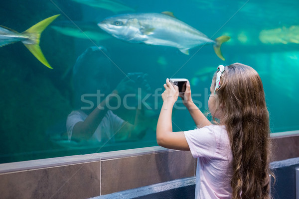 Kleines Mädchen schauen Fisch Tank Aquarium Kind Stock foto © wavebreak_media