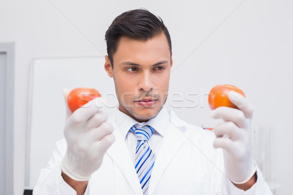 Scientifique deux tomates laboratoire école [[stock_photo]] © wavebreak_media