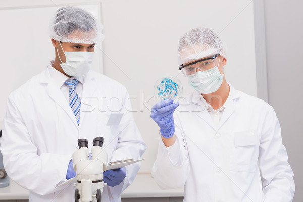 Scientists examining petri dish  Stock photo © wavebreak_media
