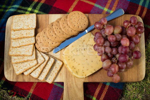 Ansicht Trauben Cookies Käse Picknickdecke Stock foto © wavebreak_media