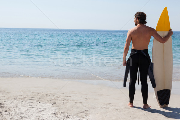 Surfer deska surfingowa patrząc morza widok z tyłu plaży Zdjęcia stock © wavebreak_media