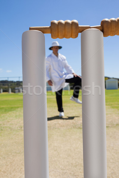 Krikett döntőbíró áll mező közelkép égbolt Stock fotó © wavebreak_media