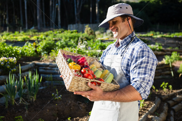 Happy man holding a basket of fresh vegetables Stock photo © wavebreak_media