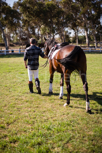 Man walking with horse in the ranch Stock photo © wavebreak_media