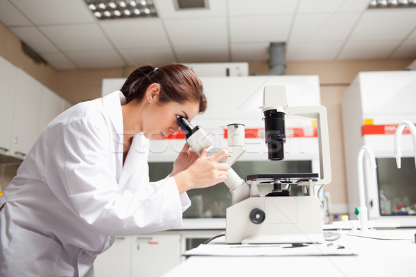 Femenino científico mirando microscopio laboratorio médico Foto stock © wavebreak_media