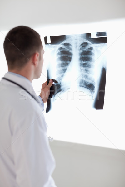 Doctor holding x-ray photograph against light Stock photo © wavebreak_media