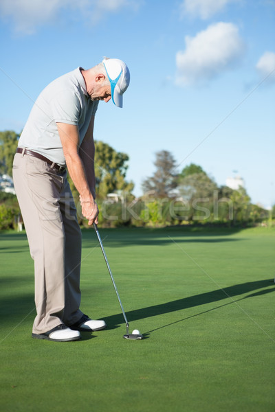 Knap golfer bal groene golfbaan Stockfoto © wavebreak_media