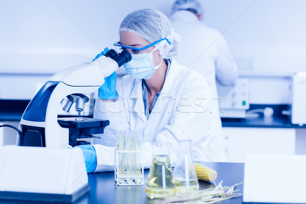 Stockfoto: Voedsel · wetenschapper · microscoop · universiteit · school · technologie