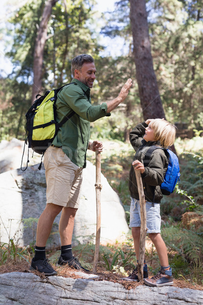 Father and son giving high five while hiking in forest Stock photo © wavebreak_media