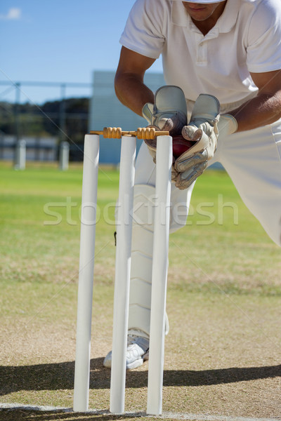 Low section of wicketkeeper catching ball behind stumps Stock photo © wavebreak_media