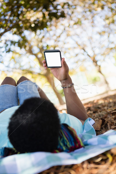 Młody człowiek telefonu komórkowego koc piknikowy parku sztuki czarny Zdjęcia stock © wavebreak_media