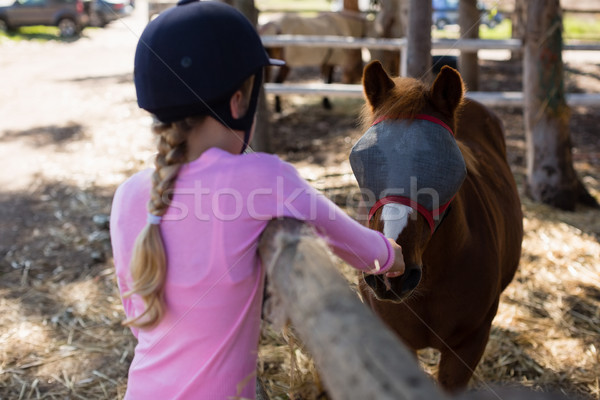 Mädchen Ernährung Pferd Ranch Kind Stock foto © wavebreak_media