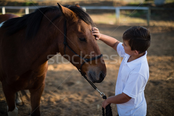 Stock photo: Rider boy caressing a horse in the ranch