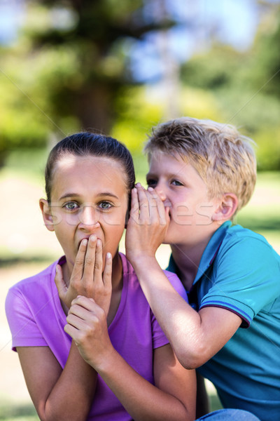 Boy whispering in his sisters ear Stock photo © wavebreak_media