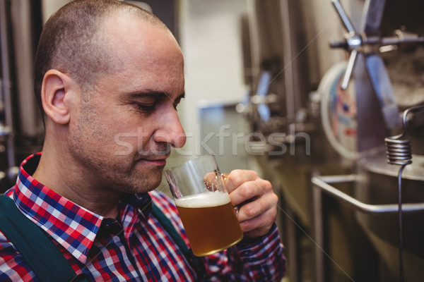 Manufacturer smelling beer in mug at brewery Stock photo © wavebreak_media