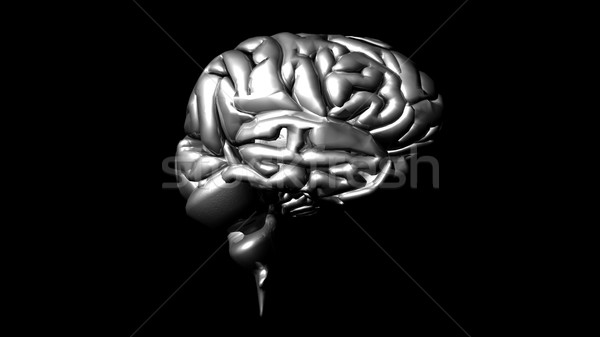 Dettagliato animazione cervello umano 3D medici Foto d'archivio © wavebreak_media