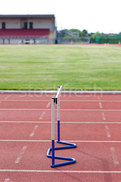 Athletism hedge isolated in a stadium Stock photo © wavebreak_media