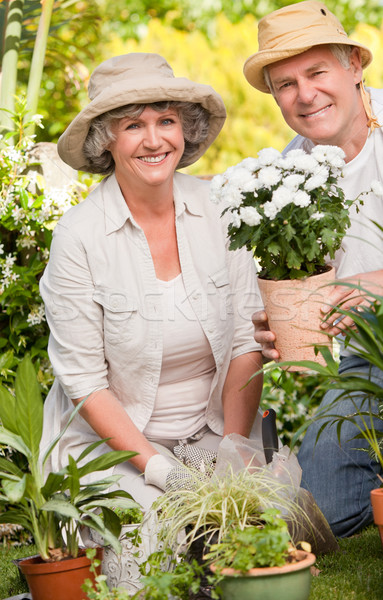 Couple de personnes âgées regarder caméra jardin femme homme [[stock_photo]] © wavebreak_media