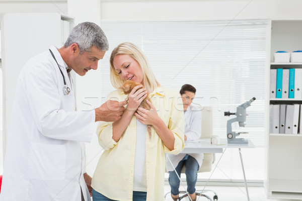 Veterinarian looking cat in it owner arms Stock photo © wavebreak_media