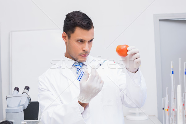Serious scientist doing injection to tomato  Stock photo © wavebreak_media