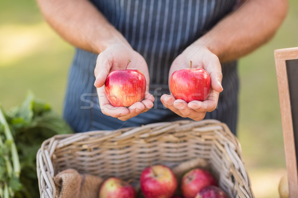 Rolnik ręce dwa czerwony jabłka Zdjęcia stock © wavebreak_media