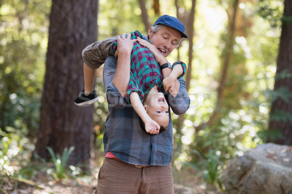 Foto stock: Pai · pequeno · filho · caminhadas · floresta