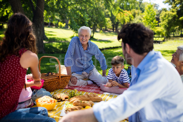 Multi generation family enjoying the picnic in park Stock photo © wavebreak_media