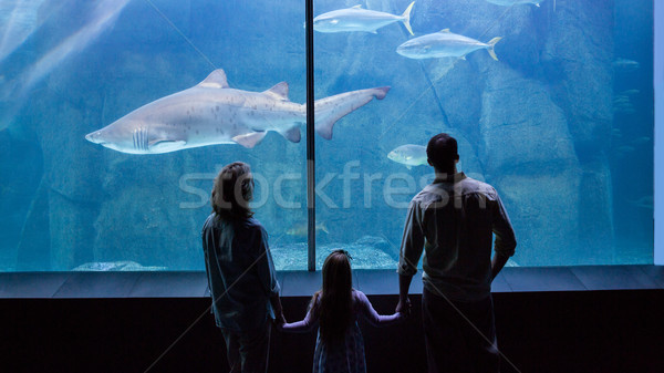 Família feliz olhando peixe tanque aquário homem Foto stock © wavebreak_media