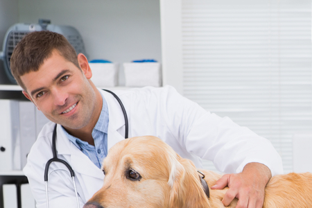 Smiling vet examining a dog with its owner Stock photo © wavebreak_media