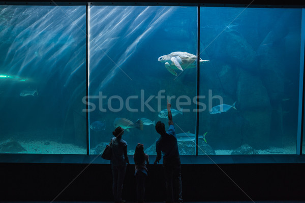 Mutlu aile bakıyor balık tank akvaryum sevmek Stok fotoğraf © wavebreak_media