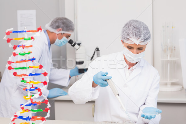 Scientist working with petri dish and another with microscope Stock photo © wavebreak_media