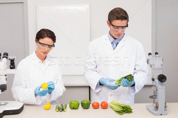 Légumes laboratoire femme technologie [[stock_photo]] © wavebreak_media